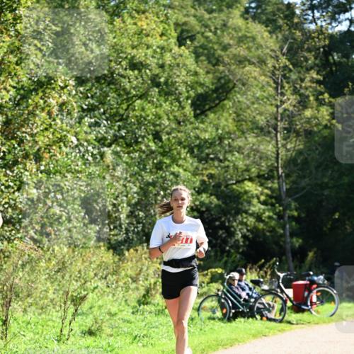 27.09.2026 - 35. Volkslauf durch das schöne Alstertal Dr. Thomas Lammeyer http://msf.ph/oto/10577803 27.09.2026 11:55:30 Laufen 577 meine-sportfotos.de