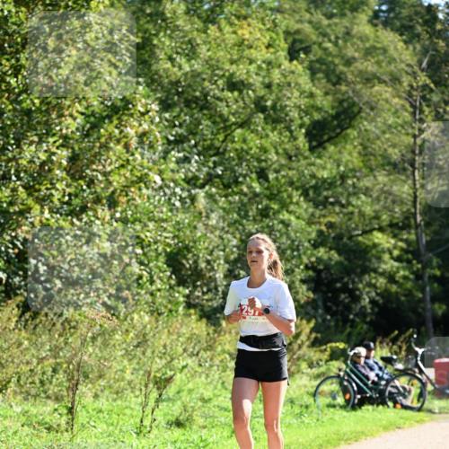 27.09.2026 - 35. Volkslauf durch das schöne Alstertal Dr. Thomas Lammeyer http://msf.ph/oto/10577805 27.09.2026 11:55:30 Laufen  meine-sportfotos.de