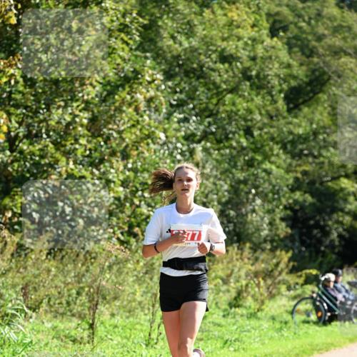 27.09.2026 - 35. Volkslauf durch das schöne Alstertal Dr. Thomas Lammeyer http://msf.ph/oto/10577811 27.09.2026 11:55:31 Laufen 77 meine-sportfotos.de