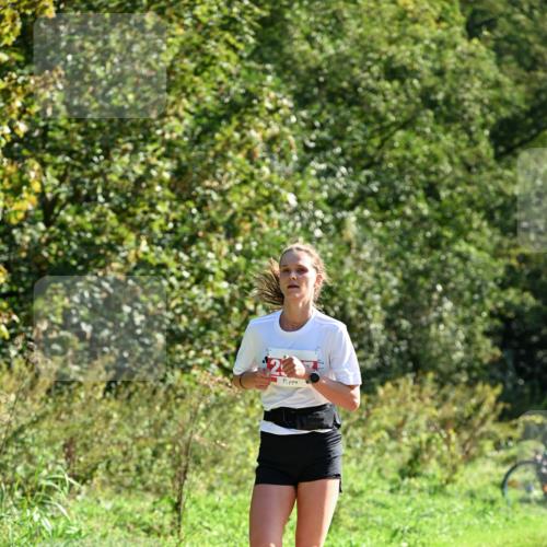 27.09.2026 - 35. Volkslauf durch das schöne Alstertal Dr. Thomas Lammeyer http://msf.ph/oto/10577812 27.09.2026 11:55:31 Laufen  meine-sportfotos.de