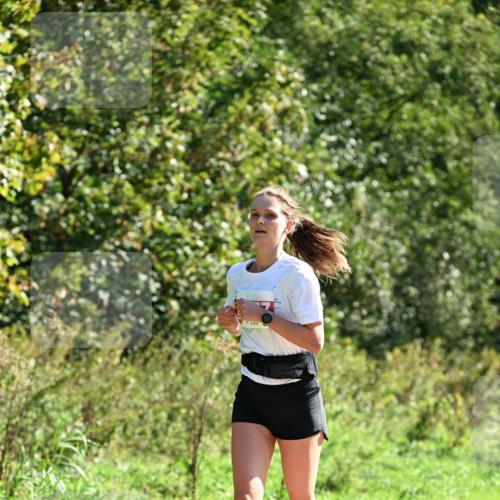 27.09.2026 - 35. Volkslauf durch das schöne Alstertal Dr. Thomas Lammeyer http://msf.ph/oto/10577813 27.09.2026 11:55:31 Laufen  meine-sportfotos.de