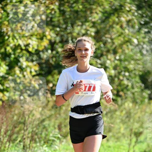 27.09.2026 - 35. Volkslauf durch das schöne Alstertal Dr. Thomas Lammeyer http://msf.ph/oto/10577818 27.09.2026 11:55:31 Laufen 977 meine-sportfotos.de