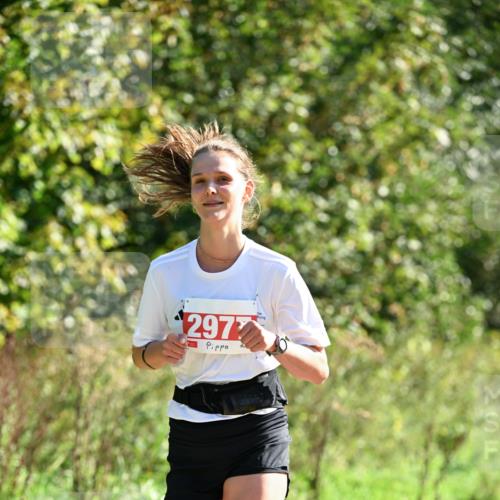 27.09.2026 - 35. Volkslauf durch das schöne Alstertal Dr. Thomas Lammeyer http://msf.ph/oto/10577819 27.09.2026 11:55:31 Laufen 297 meine-sportfotos.de