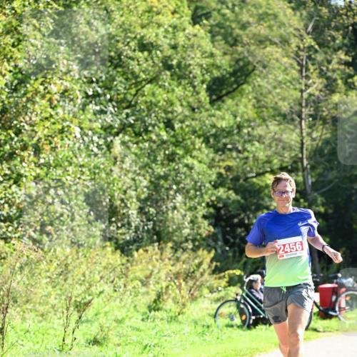 27.09.2026 - 35. Volkslauf durch das schöne Alstertal Dr. Thomas Lammeyer http://msf.ph/oto/10577820 27.09.2026 11:55:35 Laufen 2456 meine-sportfotos.de