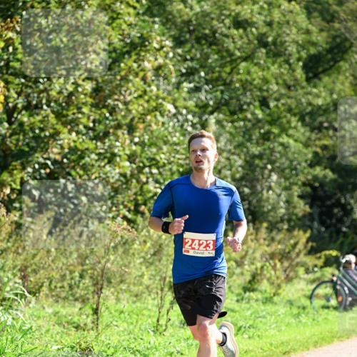 27.09.2026 - 35. Volkslauf durch das schöne Alstertal Dr. Thomas Lammeyer http://msf.ph/oto/10577852 27.09.2026 11:55:48 Laufen 2423 meine-sportfotos.de
