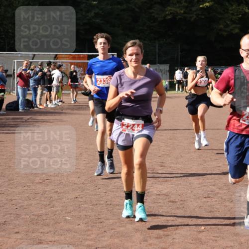 27.09.2026 - 35. Volkslauf durch das schöne Alstertal Strokosch-Dieckow http://msf.ph/oto/10577853 27.09.2026 12:32:45 Ziel 1084, 1645, 2244, 2305, 2338, 2955 meine-sportfotos.de