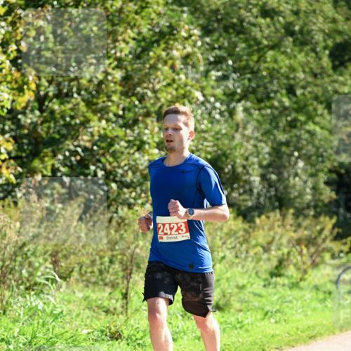 27.09.2026 - 35. Volkslauf durch das schöne Alstertal Dr. Thomas Lammeyer http://msf.ph/oto/10577855 27.09.2026 11:55:48 Laufen 2423 meine-sportfotos.de