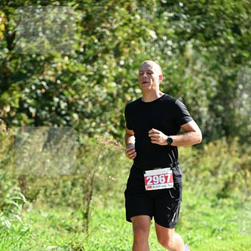 27.09.2026 - 35. Volkslauf durch das schöne Alstertal Dr. Thomas Lammeyer http://msf.ph/oto/10577863 27.09.2026 11:55:57 Laufen 2967 meine-sportfotos.de