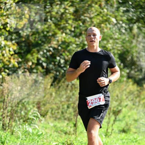 27.09.2026 - 35. Volkslauf durch das schöne Alstertal Dr. Thomas Lammeyer http://msf.ph/oto/10577866 27.09.2026 11:55:57 Laufen 2967 meine-sportfotos.de