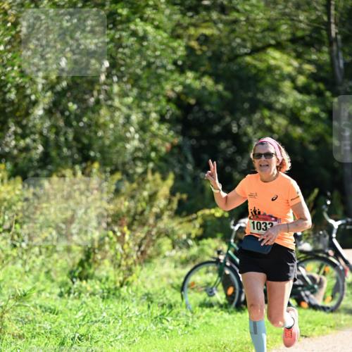 27.09.2026 - 35. Volkslauf durch das schöne Alstertal Dr. Thomas Lammeyer http://msf.ph/oto/10577869 27.09.2026 11:56:22 Laufen 1032 meine-sportfotos.de