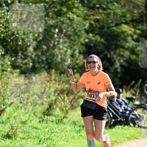27.09.2026 - 35. Volkslauf durch das schöne Alstertal Dr. Thomas Lammeyer http://msf.ph/oto/10577874 27.09.2026 11:56:22 Laufen 1033 meine-sportfotos.de