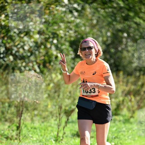 27.09.2026 - 35. Volkslauf durch das schöne Alstertal Dr. Thomas Lammeyer http://msf.ph/oto/10577888 27.09.2026 11:56:24 Laufen 1033 meine-sportfotos.de