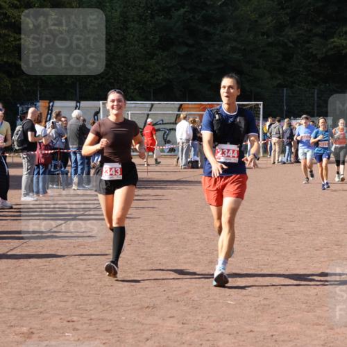 27.09.2026 - 35. Volkslauf durch das schöne Alstertal Strokosch-Dieckow http://msf.ph/oto/10577895 27.09.2026 12:43:28 Ziel 2078, 2337, 2343, 2344, 2432 meine-sportfotos.de