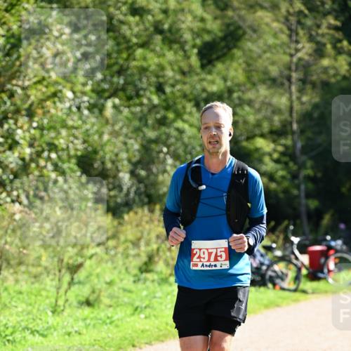 27.09.2026 - 35. Volkslauf durch das schöne Alstertal Dr. Thomas Lammeyer http://msf.ph/oto/10577915 27.09.2026 11:56:42 Laufen 2975 meine-sportfotos.de