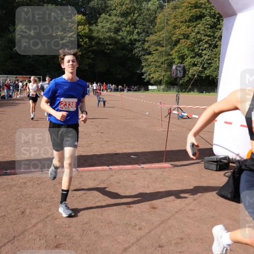 27.09.2026 - 35. Volkslauf durch das schöne Alstertal Strokosch-Dieckow http://msf.ph/oto/10577916 27.09.2026 12:32:48 Ziel 1084, 1645, 2244, 2305, 2338, 2955 meine-sportfotos.de