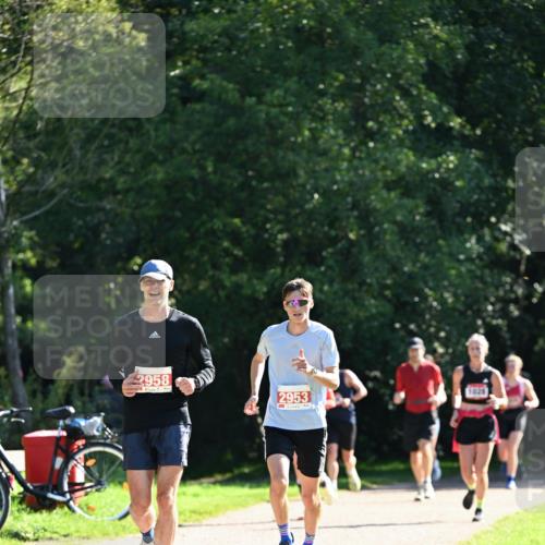 27.09.2026 - 35. Volkslauf durch das schöne Alstertal Dr. Thomas Lammeyer http://msf.ph/oto/10577953 27.09.2026 11:57:16 Laufen 2958, 2953 meine-sportfotos.de