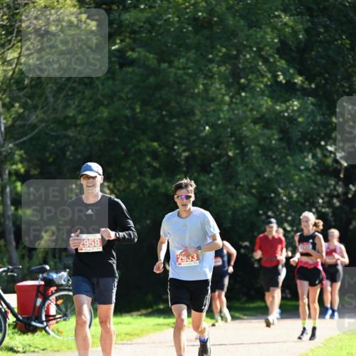 27.09.2026 - 35. Volkslauf durch das schöne Alstertal Dr. Thomas Lammeyer http://msf.ph/oto/10577954 27.09.2026 11:57:16 Laufen 2958, 2933 meine-sportfotos.de