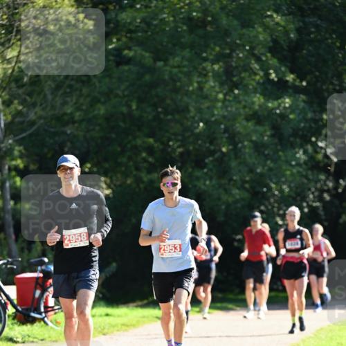 27.09.2026 - 35. Volkslauf durch das schöne Alstertal Dr. Thomas Lammeyer http://msf.ph/oto/10577957 27.09.2026 11:57:16 Laufen 2958, 2953 meine-sportfotos.de