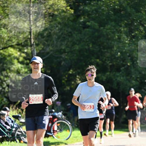 27.09.2026 - 35. Volkslauf durch das schöne Alstertal Dr. Thomas Lammeyer http://msf.ph/oto/10577963 27.09.2026 11:57:17 Laufen 2958, 953 meine-sportfotos.de