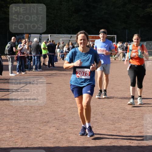 27.09.2026 - 35. Volkslauf durch das schöne Alstertal Strokosch-Dieckow http://msf.ph/oto/10578015 27.09.2026 12:43:35 Ziel 2078, 2337, 2432 meine-sportfotos.de