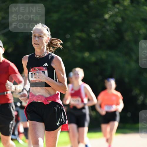 27.09.2026 - 35. Volkslauf durch das schöne Alstertal Dr. Thomas Lammeyer http://msf.ph/oto/10578017 27.09.2026 11:57:23 Laufen  meine-sportfotos.de