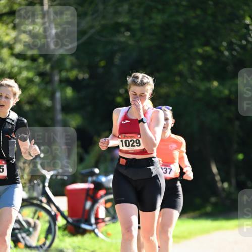 27.09.2026 - 35. Volkslauf durch das schöne Alstertal Dr. Thomas Lammeyer http://msf.ph/oto/10578031 27.09.2026 11:57:25 Laufen 5, 1029, 37 meine-sportfotos.de