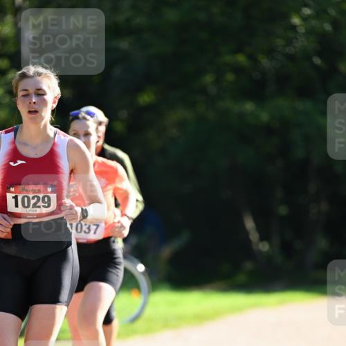 27.09.2026 - 35. Volkslauf durch das schöne Alstertal Dr. Thomas Lammeyer http://msf.ph/oto/10578044 27.09.2026 11:57:26 Laufen 1029, 037 meine-sportfotos.de