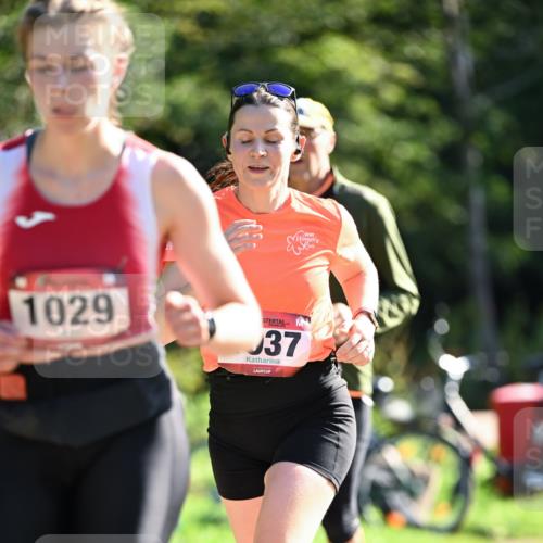 27.09.2026 - 35. Volkslauf durch das schöne Alstertal Dr. Thomas Lammeyer http://msf.ph/oto/10578051 27.09.2026 11:57:28 Laufen 1029, 37 meine-sportfotos.de