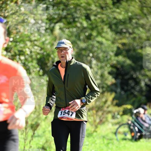 27.09.2026 - 35. Volkslauf durch das schöne Alstertal Dr. Thomas Lammeyer http://msf.ph/oto/10578063 27.09.2026 11:57:30 Laufen 1547 meine-sportfotos.de