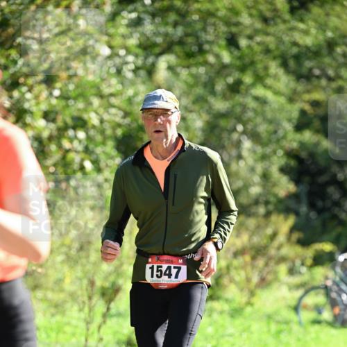 27.09.2026 - 35. Volkslauf durch das schöne Alstertal Dr. Thomas Lammeyer http://msf.ph/oto/10578064 27.09.2026 11:57:30 Laufen 1547 meine-sportfotos.de