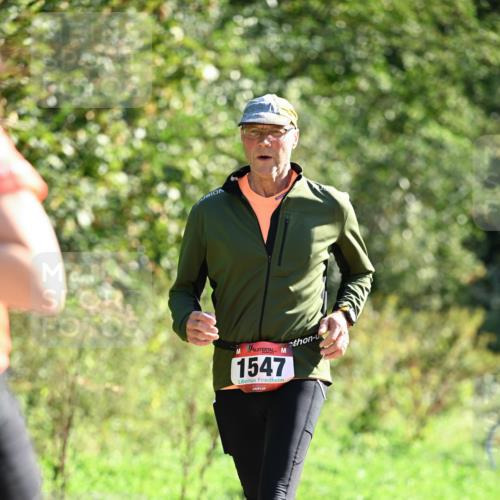 27.09.2026 - 35. Volkslauf durch das schöne Alstertal Dr. Thomas Lammeyer http://msf.ph/oto/10578065 27.09.2026 11:57:30 Laufen 1547 meine-sportfotos.de