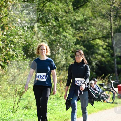 27.09.2026 - 35. Volkslauf durch das schöne Alstertal Dr. Thomas Lammeyer http://msf.ph/oto/10578079 27.09.2026 11:57:51 Laufen 3174, 3404 meine-sportfotos.de