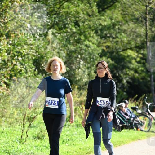 27.09.2026 - 35. Volkslauf durch das schöne Alstertal Dr. Thomas Lammeyer http://msf.ph/oto/10578080 27.09.2026 11:57:51 Laufen 3174, 3404 meine-sportfotos.de