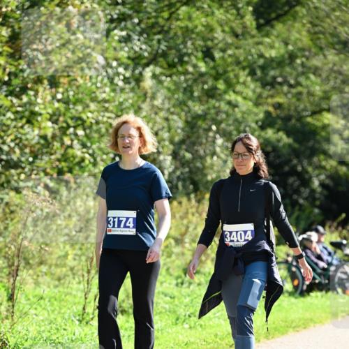 27.09.2026 - 35. Volkslauf durch das schöne Alstertal Dr. Thomas Lammeyer http://msf.ph/oto/10578085 27.09.2026 11:57:52 Laufen 3174, 3404 meine-sportfotos.de