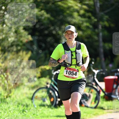 27.09.2026 - 35. Volkslauf durch das schöne Alstertal Dr. Thomas Lammeyer http://msf.ph/oto/10578113 27.09.2026 11:58:29 Laufen 1054 meine-sportfotos.de