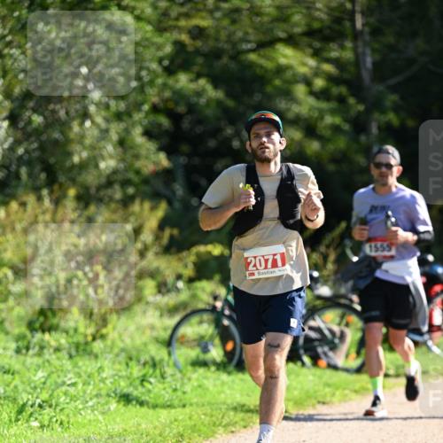 27.09.2026 - 35. Volkslauf durch das schöne Alstertal Dr. Thomas Lammeyer http://msf.ph/oto/10578121 27.09.2026 11:58:31 Laufen 2071, 1559, 7910 meine-sportfotos.de