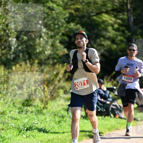 27.09.2026 - 35. Volkslauf durch das schöne Alstertal Dr. Thomas Lammeyer http://msf.ph/oto/10578122 27.09.2026 11:58:32 Laufen 2071, 1555 meine-sportfotos.de