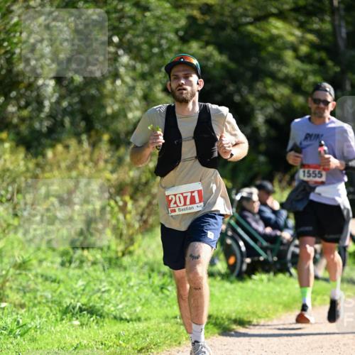 27.09.2026 - 35. Volkslauf durch das schöne Alstertal Dr. Thomas Lammeyer http://msf.ph/oto/10578125 27.09.2026 11:58:32 Laufen 2071, 1555 meine-sportfotos.de