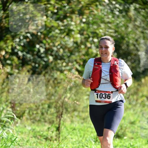 27.09.2026 - 35. Volkslauf durch das schöne Alstertal Dr. Thomas Lammeyer http://msf.ph/oto/10578187 27.09.2026 11:59:16 Laufen 1036 meine-sportfotos.de