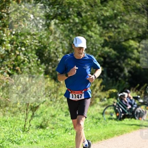 27.09.2026 - 35. Volkslauf durch das schöne Alstertal Dr. Thomas Lammeyer http://msf.ph/oto/10578194 27.09.2026 11:59:34 Laufen 1747, 223 meine-sportfotos.de