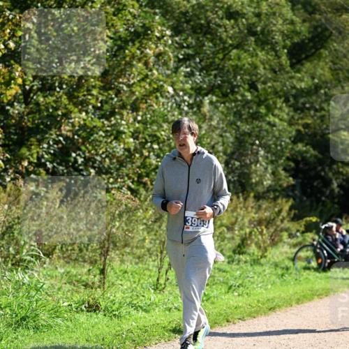 27.09.2026 - 35. Volkslauf durch das schöne Alstertal Dr. Thomas Lammeyer http://msf.ph/oto/10578261 27.09.2026 11:59:49 Laufen 3963 meine-sportfotos.de