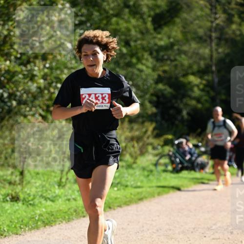 27.09.2026 - 35. Volkslauf durch das schöne Alstertal Dr. Thomas Lammeyer http://msf.ph/oto/10578275 27.09.2026 11:59:51 Laufen 2433 meine-sportfotos.de