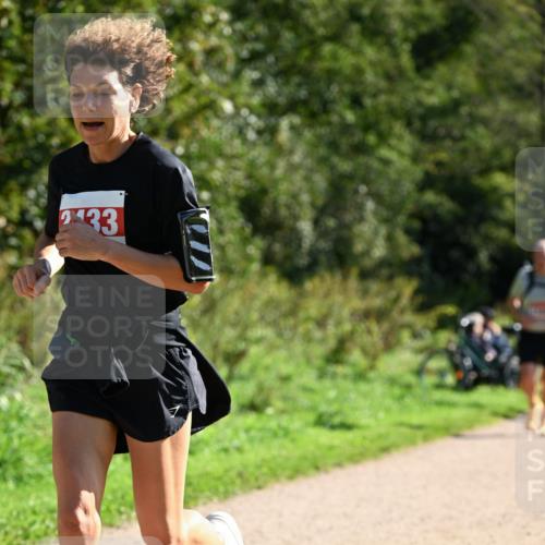 27.09.2026 - 35. Volkslauf durch das schöne Alstertal Dr. Thomas Lammeyer http://msf.ph/oto/10578278 27.09.2026 11:59:51 Laufen  meine-sportfotos.de