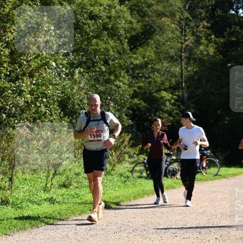 27.09.2026 - 35. Volkslauf durch das schöne Alstertal Dr. Thomas Lammeyer http://msf.ph/oto/10578282 27.09.2026 11:59:54 Laufen 1590 meine-sportfotos.de