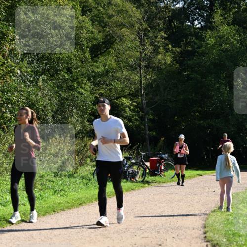 27.09.2026 - 35. Volkslauf durch das schöne Alstertal Dr. Thomas Lammeyer http://msf.ph/oto/10578297 27.09.2026 11:59:55 Laufen 1035 meine-sportfotos.de
