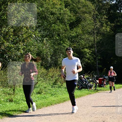 27.09.2026 - 35. Volkslauf durch das schöne Alstertal Dr. Thomas Lammeyer http://msf.ph/oto/10578300 27.09.2026 11:59:56 Laufen 1035 meine-sportfotos.de