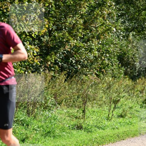 27.09.2026 - 35. Volkslauf durch das schöne Alstertal Dr. Thomas Lammeyer http://msf.ph/oto/10578346 27.09.2026 12:00:06 Laufen  meine-sportfotos.de