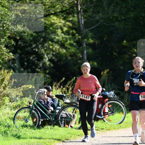 27.09.2026 - 35. Volkslauf durch das schöne Alstertal Dr. Thomas Lammeyer http://msf.ph/oto/10578377 27.09.2026 12:00:20 Laufen 1147, 10 meine-sportfotos.de