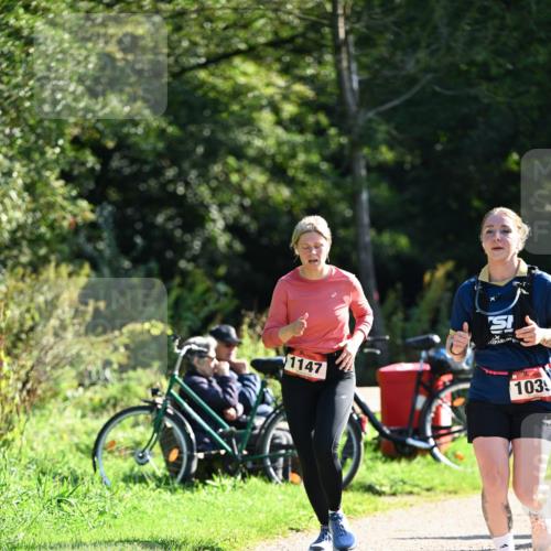 27.09.2026 - 35. Volkslauf durch das schöne Alstertal Dr. Thomas Lammeyer http://msf.ph/oto/10578383 27.09.2026 12:00:21 Laufen 1147, 103 meine-sportfotos.de