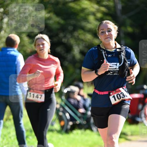 27.09.2026 - 35. Volkslauf durch das schöne Alstertal Dr. Thomas Lammeyer http://msf.ph/oto/10578392 27.09.2026 12:00:22 Laufen 1147, 103 meine-sportfotos.de